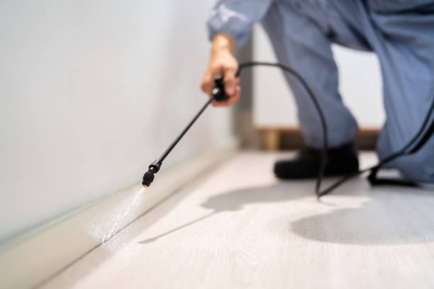 Licensed Pest Control service in Sterling, CO - Show Me Pest Control