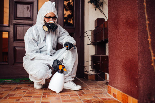 Reliable Mosquito Control contractor in Sterling, CO by Show Me Pest Control